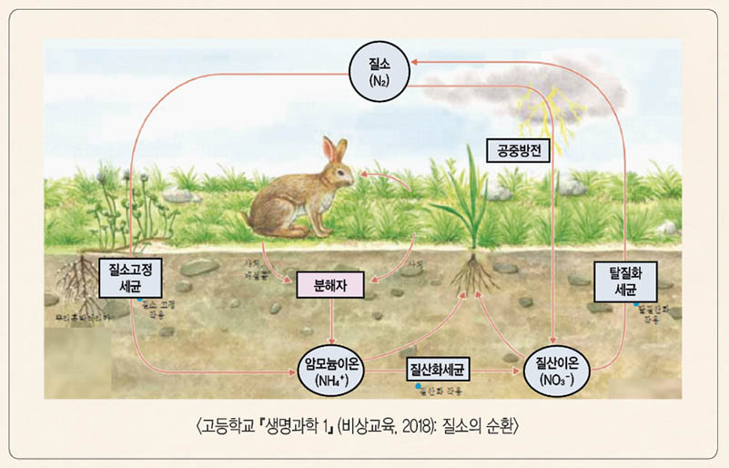 뇌우(雷雨)에 담긴 뇌성(雷聲)의 작용과 의미